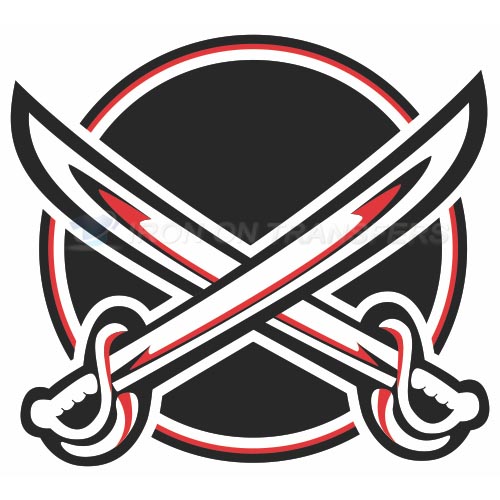 Buffalo Sabres Iron-on Stickers (Heat Transfers)NO.88